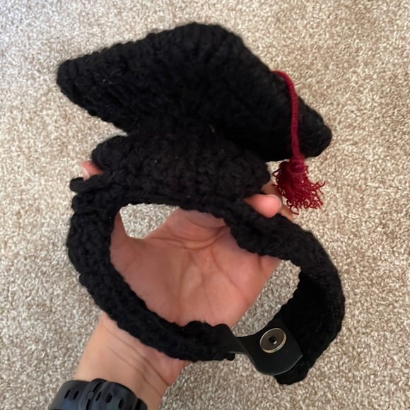 Dog graduation cap 🎓 - Picture 5 of 5